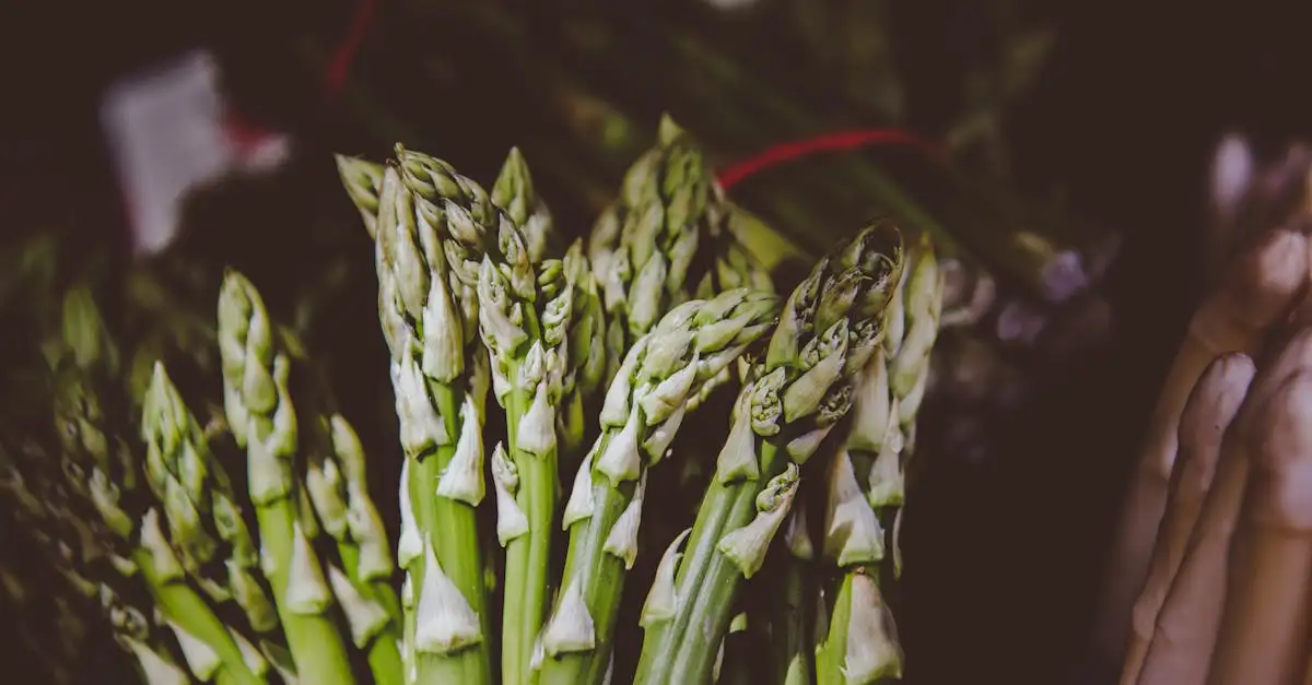 Asperges eten