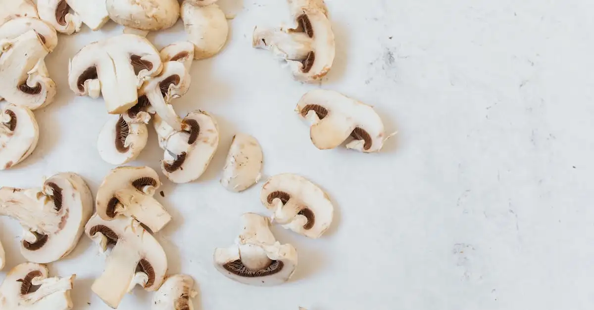 Kan je champignons rauw eten
