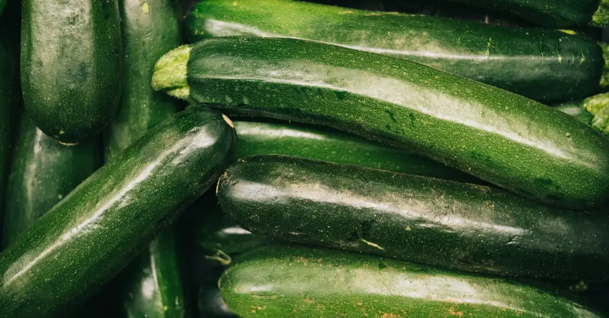 Kan je courgette rauw eten