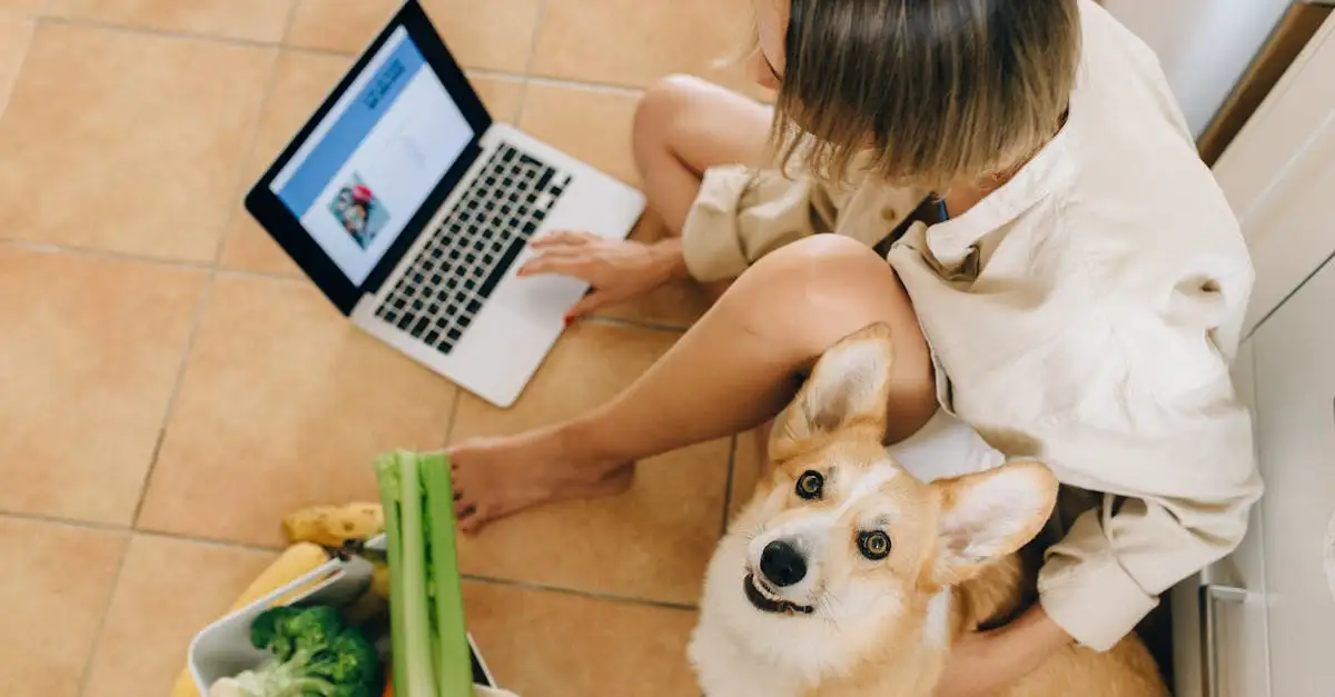 Eten bestellen online