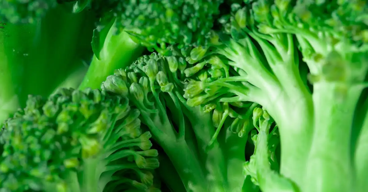 Koolhydraatarm eten