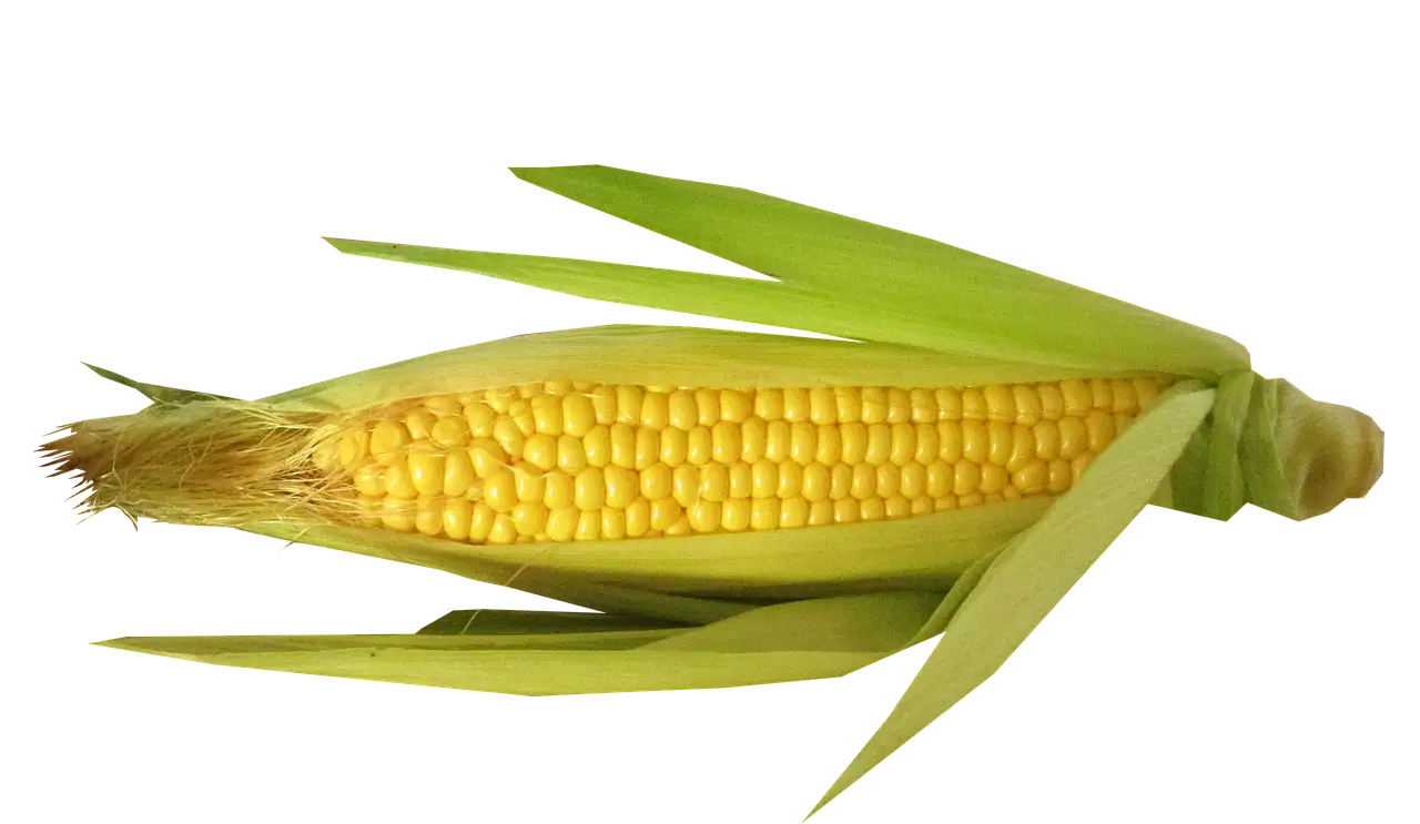 Korting op uit eten