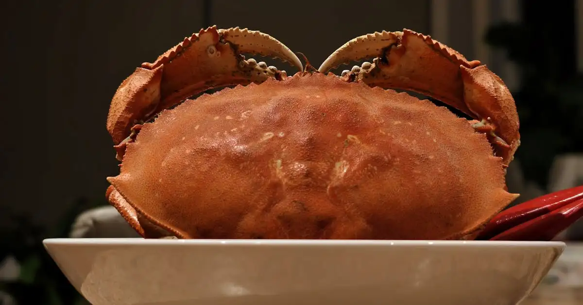 Krab eten
