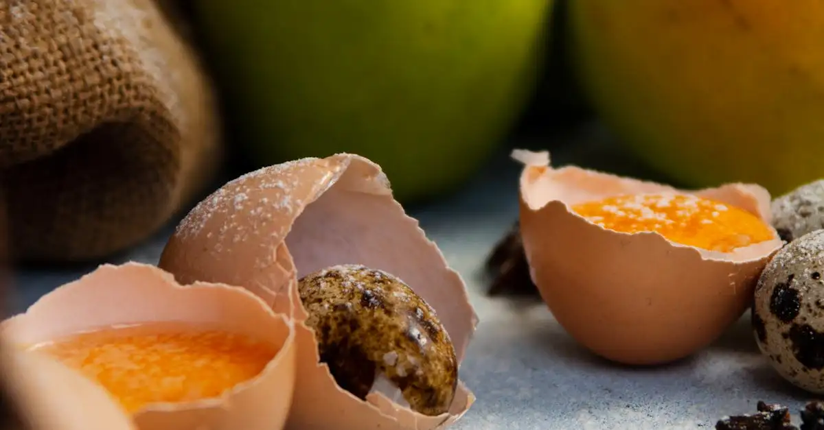 Kwartel eten: recepten, bereiding en voedingswaarde