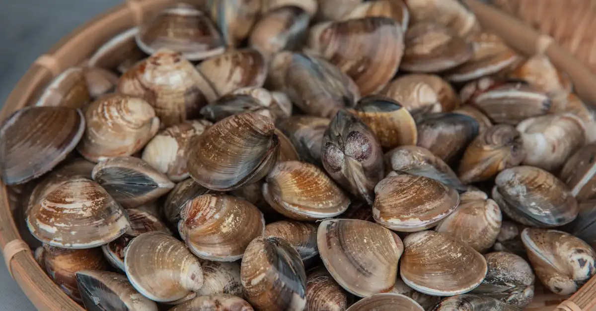 Eten in egmond aan zee