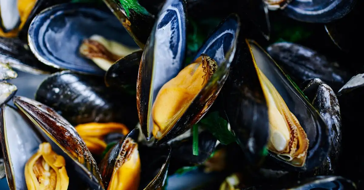Mosselen eten in Maastricht: De beste restaurants