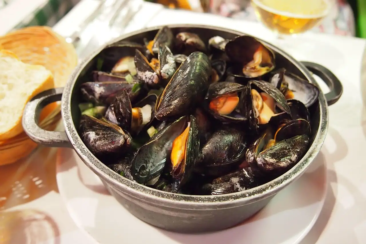 Mosselen eten in Yerseke: De beste ervaringen