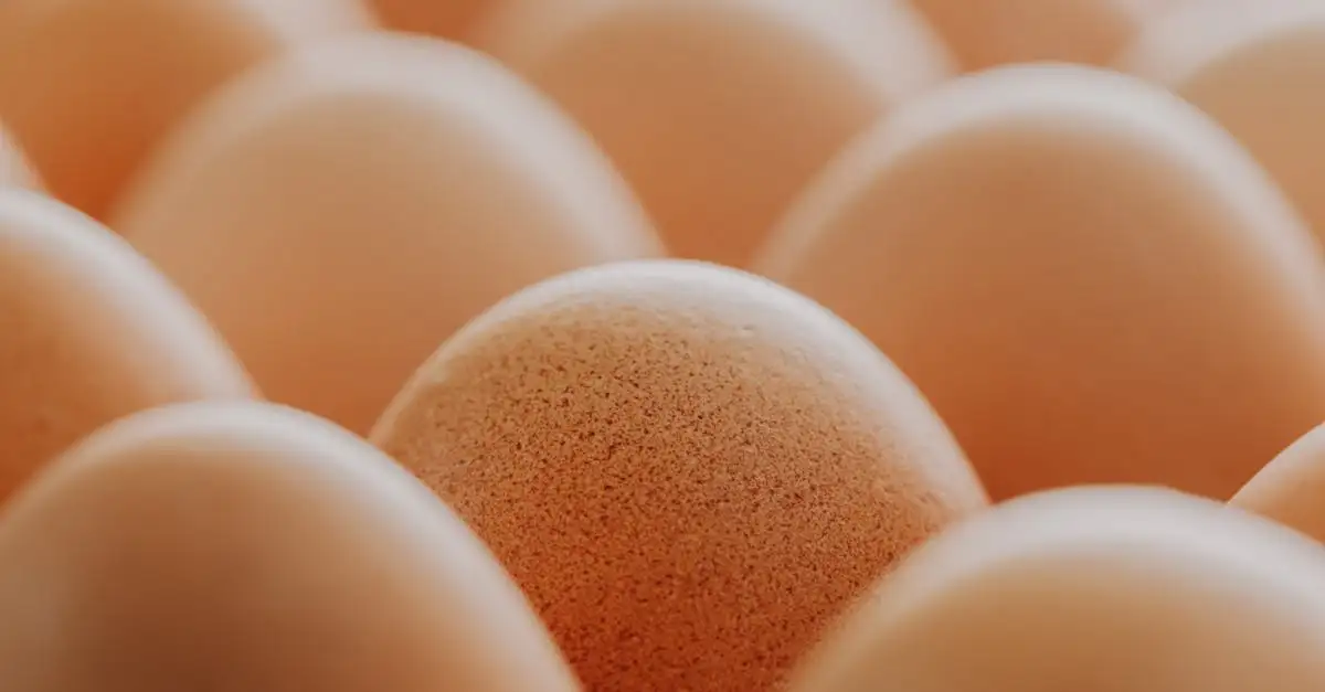 Ei rauw eten