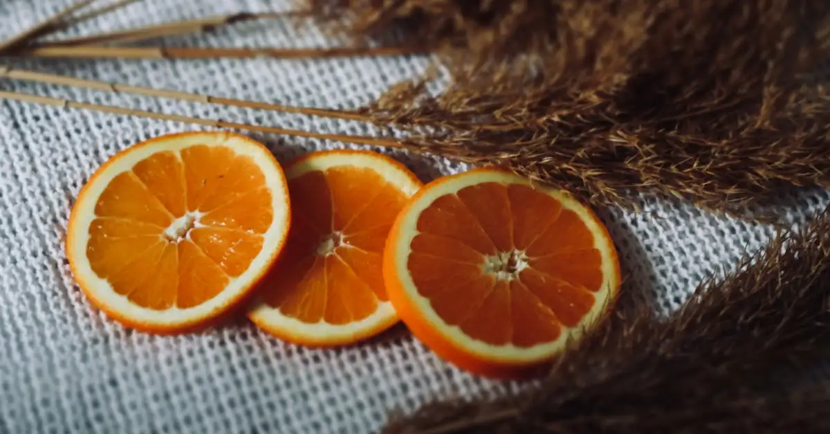 Wat eten mollen? Ontdek het dieet van de mol